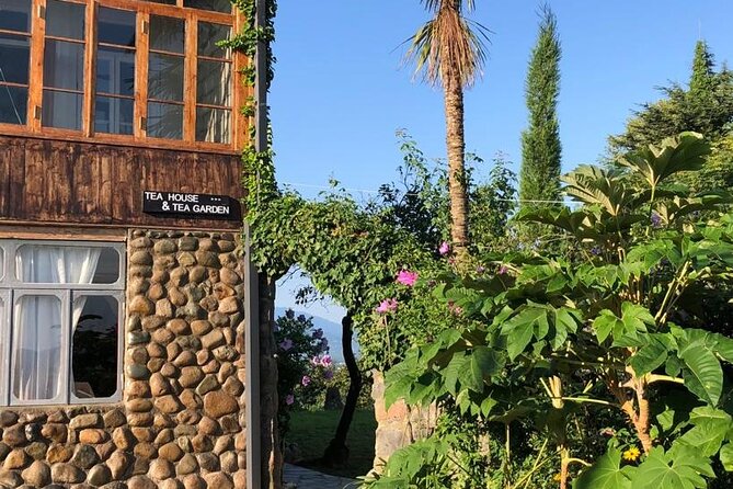 1,5 Hours Tea House and Tea Garden Trip in Ozurgeti Georgia - Tea house atmosphere and a real tea tasting with a tea master