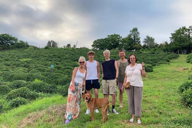 1,5 Hours Tea House and Tea Garden Trip in Ozurgeti Georgia - The production facility visit: why it matters for tea nerds