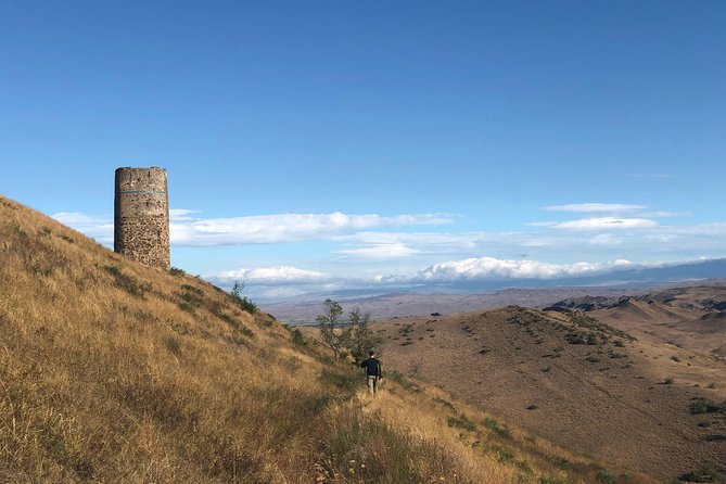 1-Day Trip to David Gareja Monastery with Rainbow Hills & Sighnaghi from Tbilisi - Badiauri bread and the cheese shop stop: hands-on Georgian food