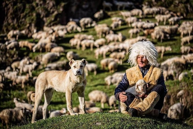 2-Day Private Tour to Kazbegi from Tbilisi - North Georgia roads: Ananuri fortress, Jinvali views, and the Jvari Pass