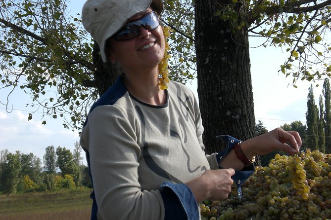 2-Day Private Wine Tour to Kakheti from Tbilisi - Kakheti, the wine region where Georgia explains itself