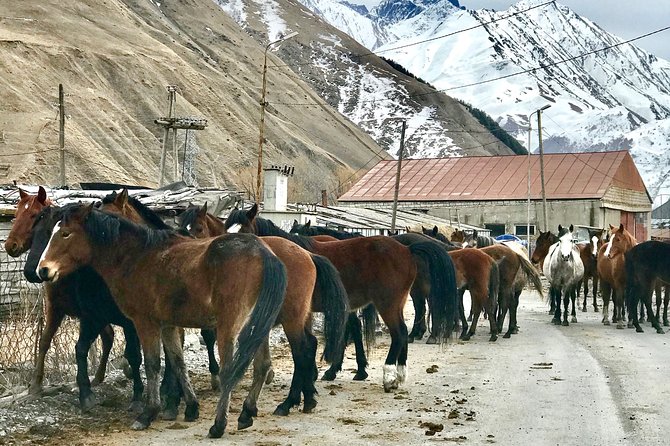 2 Days Private Tour to Kazbegi and Juta Village with Trekking - Day Two in Juta: the 5-hour trek toward Chaukhi glacier