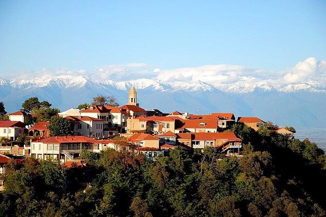 2 Full Day Private Tours from Tbilisi - Price and value: is $138.47 per person fair?