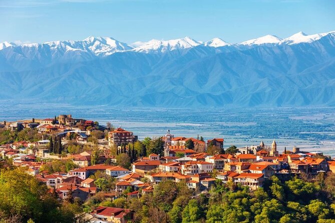2 Full Day Private Tours from Tbilisi - Pace, weather, and the realistic comfort level