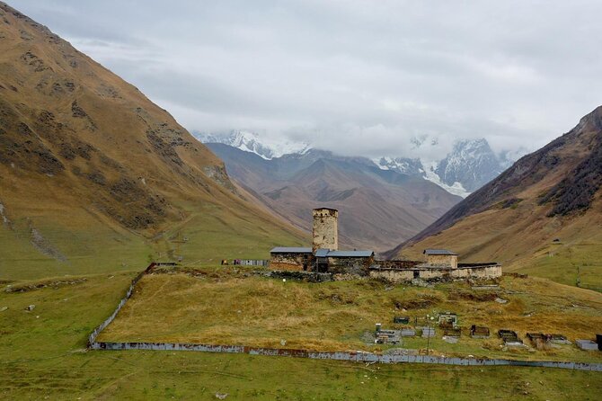 3-Day Private Mestia and Ushguli Tour from Kutaisi - Day 3 Return Drive, Dadiani Palace, and Botanical Garden Calm