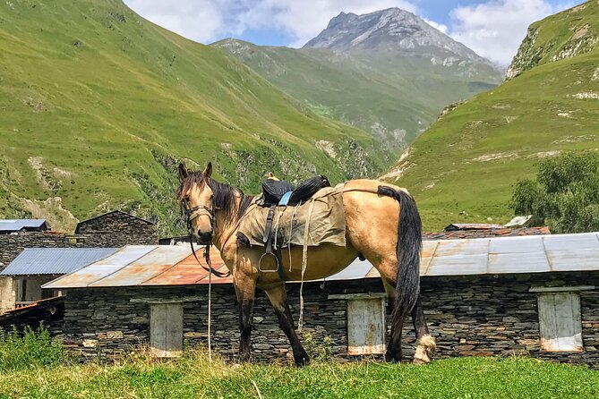 3 Day Tusheti Tour Explore Unspoiled Wilderness - Day 2: Tower Villages, Ruins, and Sacred Sites