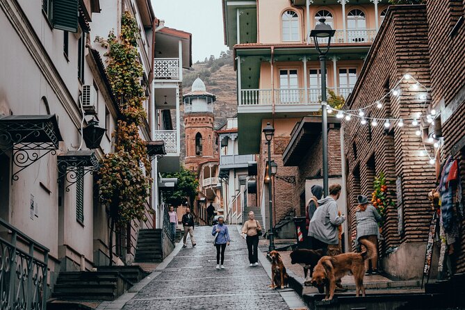 3-Hour Private Guided Walking Tour in Tbilisi - Bridge of Peace and Rike Park to Metekhi Cathedral viewpoints