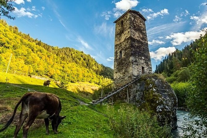 4-Day Tour in Svaneti - Mestia/Ushguli - Transportation reality check: lots of car time, private comfort