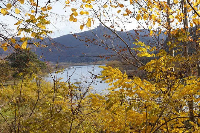 7-Day Georgian Highlights Tour from Tbilisi - H2: The drive via lakes Sagamo, Paravani, and Tsalka, then a calm last morning