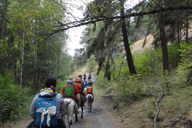 7-day hiking expedition to Tusheti through the Atsunta pass - Dartlo, Kvavlo, and a stone house night that feels local