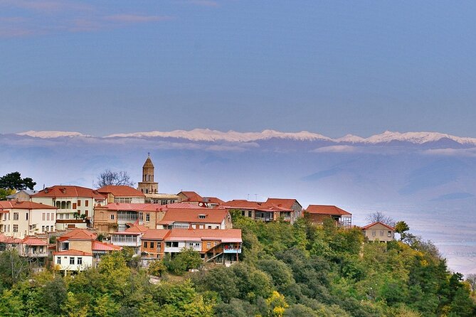 8-Day All About Georgia Tbilisi Guided Tour with Accommodation - Day 6: A Free Day in Tbilisi, Plus Optional Big Sights