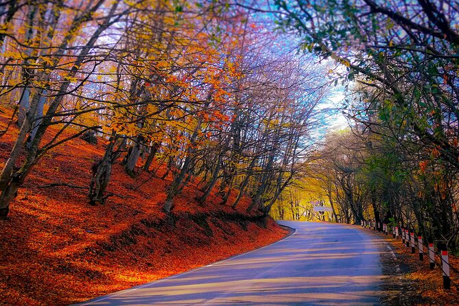 A day tour to Kakheti region/wine/culture/history and gastro tour - Kakheti Day Trip Value: Private, Focused, and No Driver Headaches