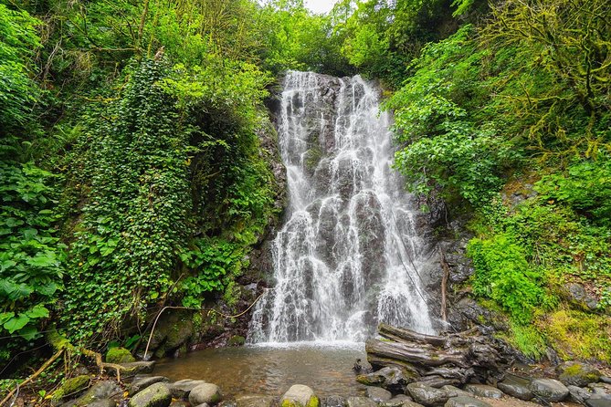 Adjarian Mountains Waterfalls Wine Tour Best views from Batumi Kobuleti - What makes this tour worth your time