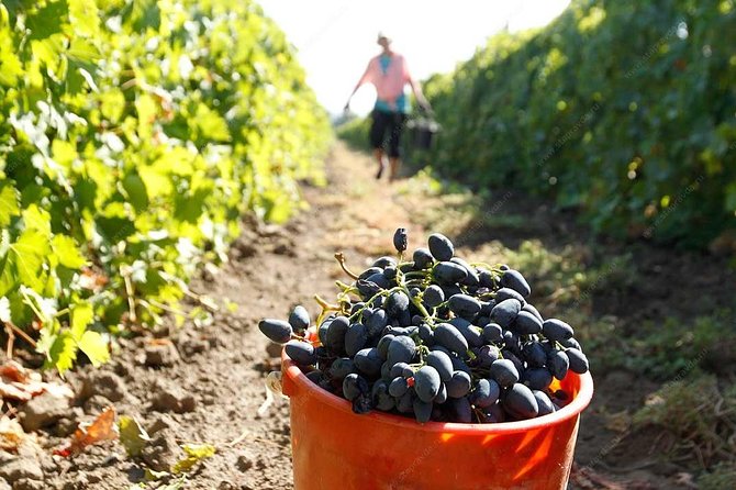 Adjarian Mountains Waterfalls Wine Tour Best views from Batumi Kobuleti - Makhuntseti waterfall: a second chance to enjoy the water