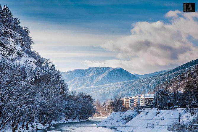 Bakuriani-Borjomi full day trip - 9:00 am Transport, Private Flow, and How the Day Actually Feels