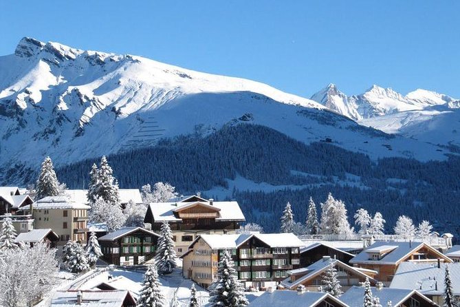 Bakuriani ski resort and the legendary Borjomi (Group Tour) - Why Bakuriani and Borjomi work as one tight winter day
