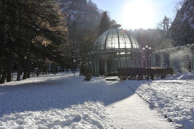 Bakuriani ski resort and the legendary Borjomi (Group Tour) - Borjomi Central Park and town time, a different pace on purpose