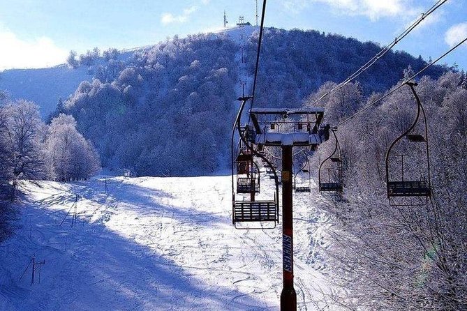 Bakuriani ski resort and the legendary Borjomi (Group Tour) - Transport and comfort: air-conditioned vehicle plus snow-area logistics
