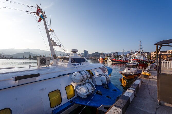 Batumi Walking Tour - Key Highlights You’ll Feel as You Walk