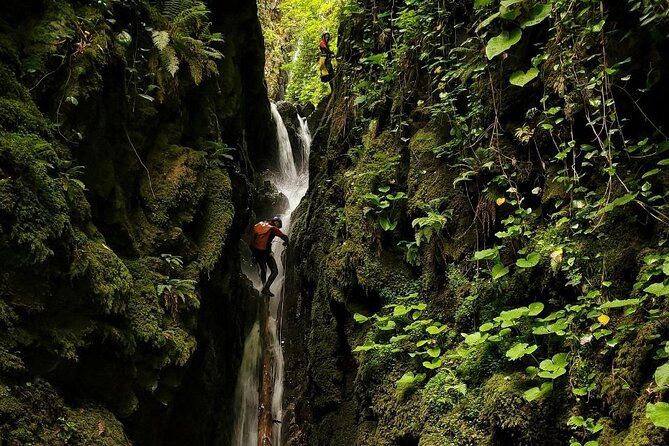 Canyoning in Batumi - Why Canyoning in Batumi Feels Different Than Regular Tours