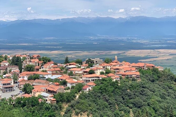 Day tour to Kakheti wine region Georgia - Price and Logistics: What $31 Buys You, and What to Budget Extra
