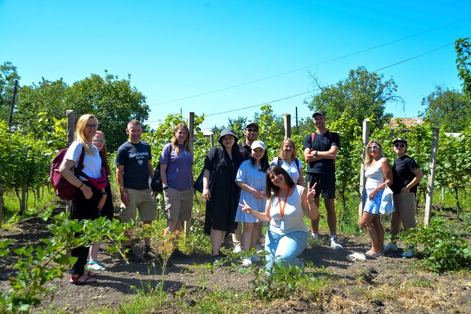 Day Trip to Kakheti Wine Region Including 9 Wine Tastings - Sighnaghi: The City of Love Walk and Wall Views