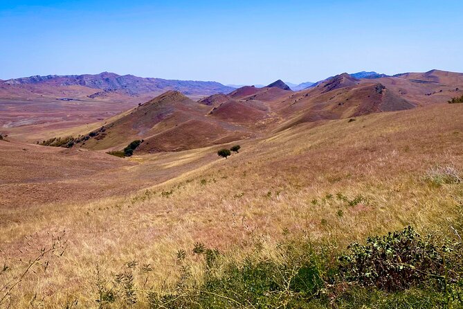 Day Trip to Rainbow Mountains and David Gareja - Udabno Village: Why the Drive Feels Like Another Country