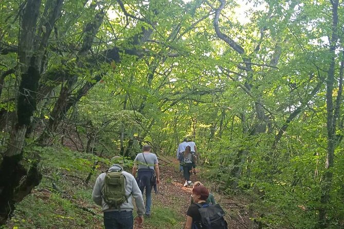 Day Walking Tour/Vashlovani Prot.Area(Eagle Gorge), min 2 persons - Price and value: what $151.16 per person really covers