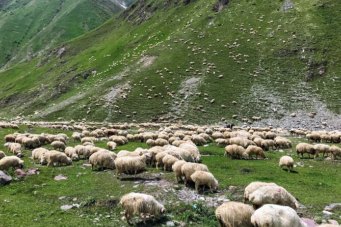 From Tbilisi: Kazbegi Ananuri Gudauri and Trusso Valley by 4x4 - Truso Valley by 4x4: why the off-road detour is the whole point