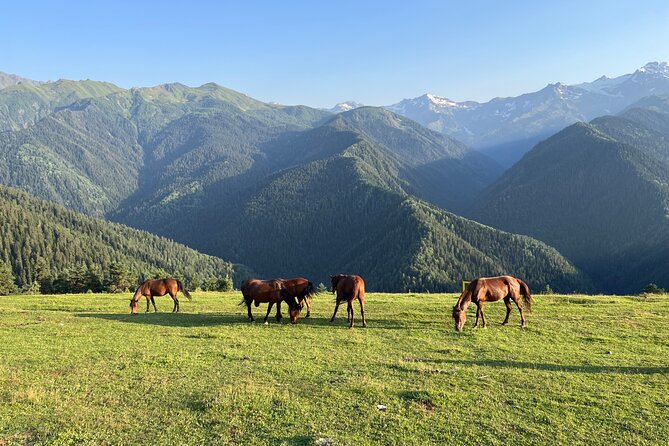 From Tbilisi: Svaneti 4 Days Private tour (Mestia, Ushguli) - A 4-day private Svaneti run from Tbilisi, what you’re really booking