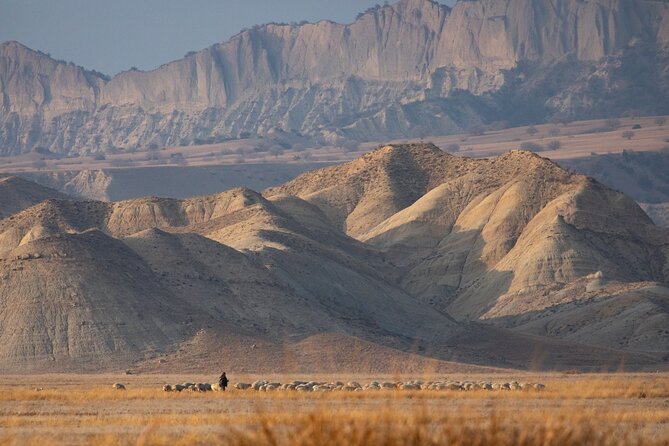Full-Day Private Wilderness Tour in Vashlovani National Park - Getting there and back: the 1.5-hour road and the 10-12 hour reality