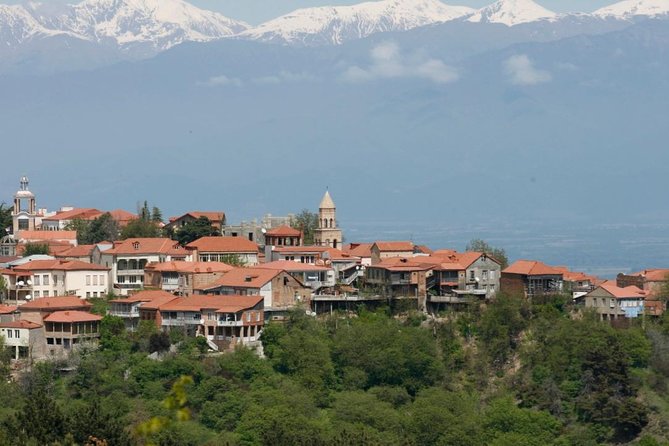 Full Day Private Wine Tour in Kakheti Region with Lunch and 3 Wine Tastings - Key Highlights You Should Care About