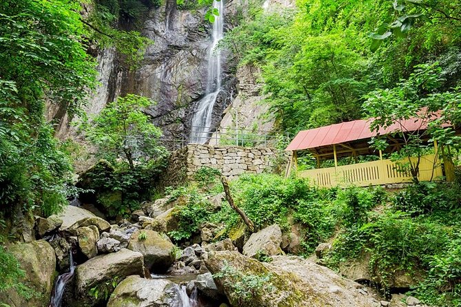 Full Day Tour from Batumi to Waterfalls - Key highlights you will actually care about