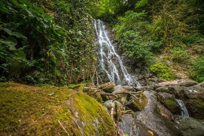 Full Day Tour from Batumi to Waterfalls - Adjarian Wine House: tasting, vineyards, and the cost you should expect