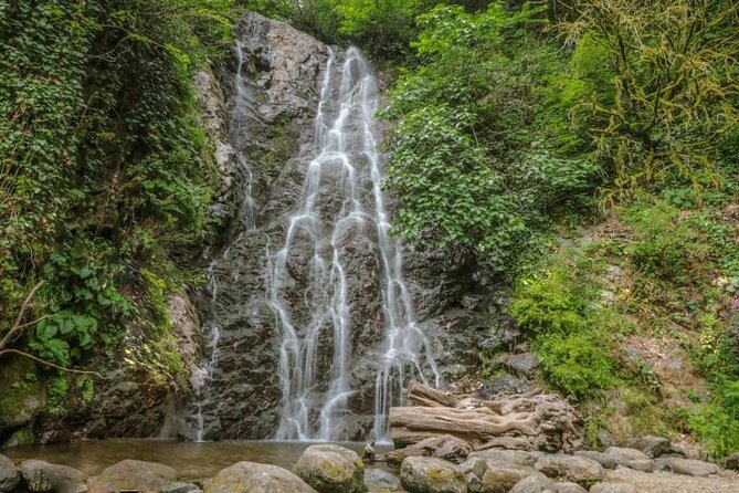 Full Day Tour from Batumi to Waterfalls - The Gonio factor near the Black Sea (and why it fits the route)