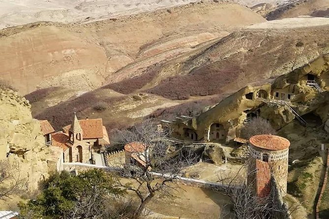 Full day tour to Kakheti: David Gareja and Signagi Town - What the Day Feels Like, Stop by Stop