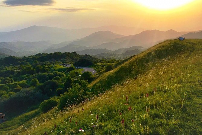 German village in Georgia (Elisabethal) & Wine tasting - Sulfur bath in Asureti: 19th century health traditions you can still picture