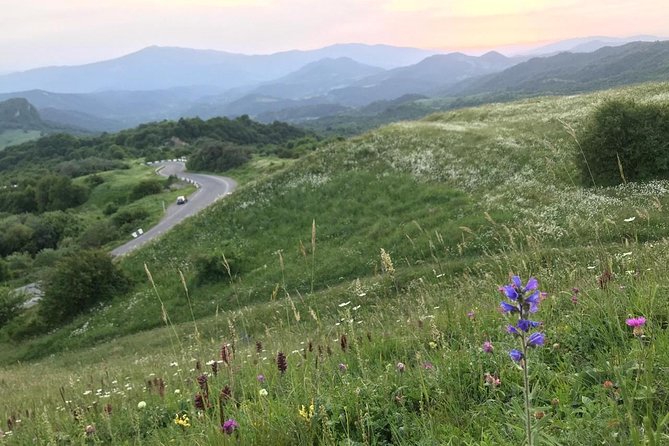 German village in Georgia (Elisabethal) & Wine tasting - The guide factor: David’s style, and Irakli’s Kakheti touch