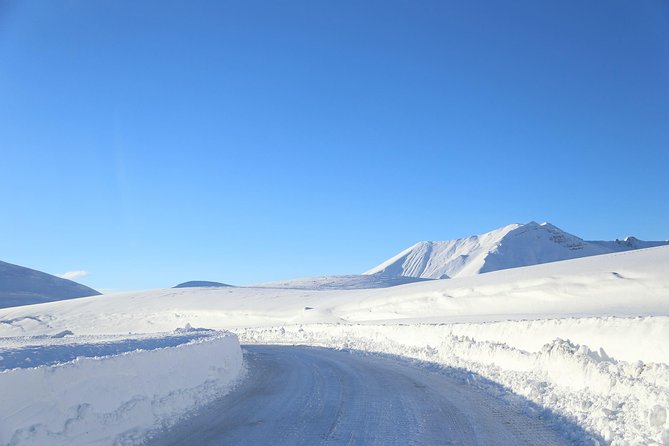 Gudauri Ski Resort day tour from Tbilisi - Price and Value: Why $100 Can Make Sense Here