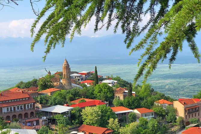 Kakheti and Sighnaghi tour with winetasting - Key Highlights You Will Actually Feel