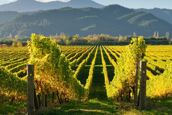 Kakheti: Bodbe, Sighnaghi, Telavi Wine Tour from Tbilisi - Bodbe Monastery of St. Nino: the calm 1-hour reset