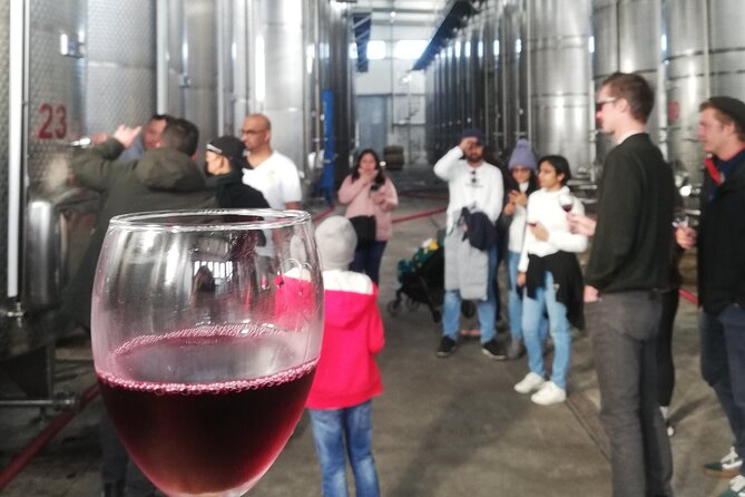Kakheti Full Day Private Tour - Stop 1: KTW, Patardzeuli Winery, and a tasting with classic Georgian grapes