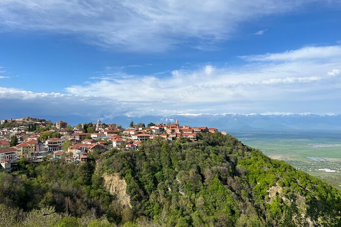 Kakheti-Sighnaghi Day Trip with wine tasting and Bodbe Monastery - Key things that make this day trip work