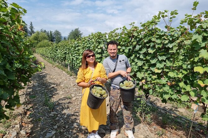 Kakheti - Small wineries and family-cooked lunch • Private tour - Sighnaghi, the City of Love, plus a serious wall walk