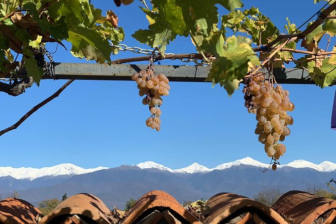 ️ Kakheti tour - Private Full Day Wine tour with Lunch and Wine tasting - The day’s rhythm: 9:30 start, a full schedule, and a lot of toasts