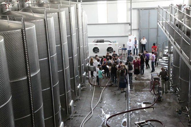 Kakheti Wine & Sighnaghi Private Tour from Tbilisi - 8 To 10 Hours Of Kakheti Wine, Puri Bread, And Sighnaghi Walls