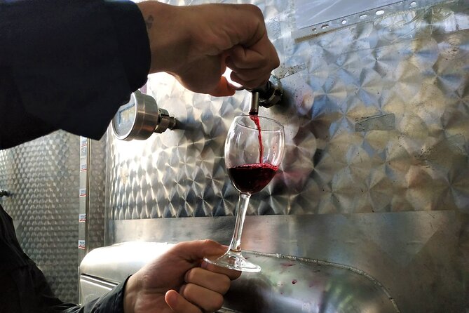 Kakheti Wine Tour with 20+ Wine Tastings & Qvevri Masterclass - Khareba’s wine tunnel: a 7 km cave for serious aging