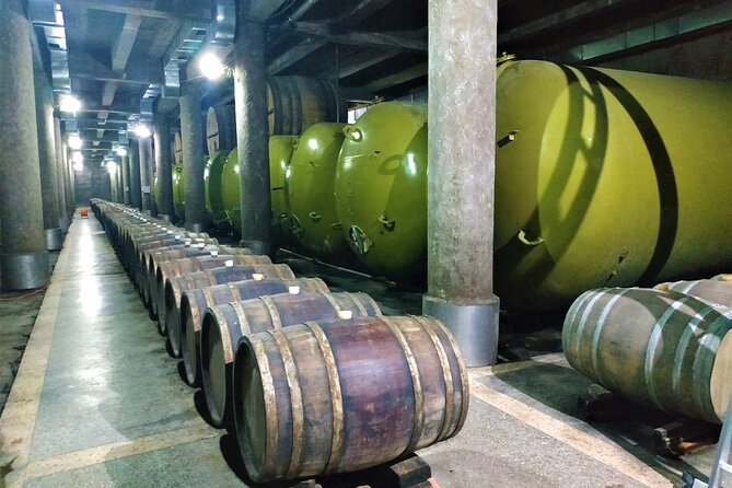 Kakheti Wine Tour with 20+ Wine Tastings & Qvevri Masterclass - KTW: tastings from stainless steel and brandy from oak