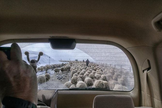 Kazbegi Adventure - Private Day Trip From Tbilisi with a Dinner + Masterclass - Private guide dynamics: what it feels like with different teams