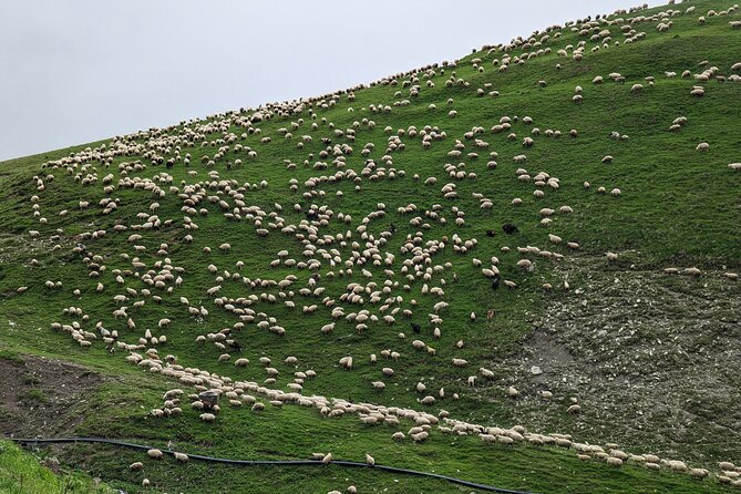 Kazbegi & Gudauri Private Full-Day Tour From Tbilisi - Morning route: Zhinvali reservoir, Ananuri, and the river-color junction